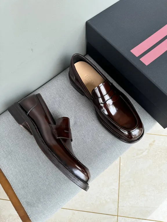 Ferragamo Shoe 